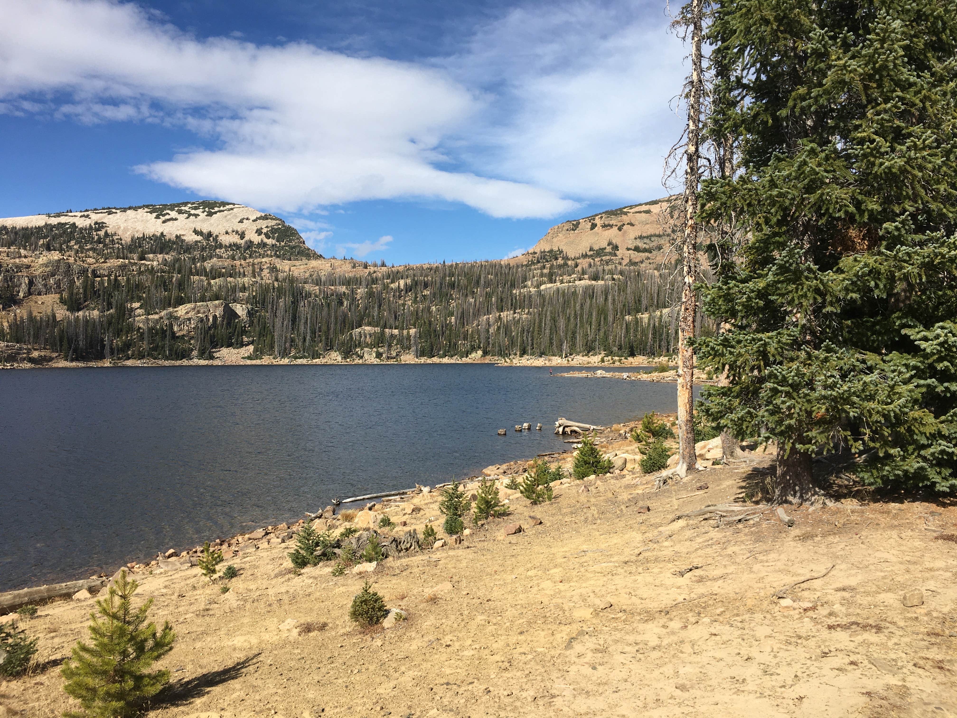 Camper submitted image from Wall Lake Dispersed Campground - 5