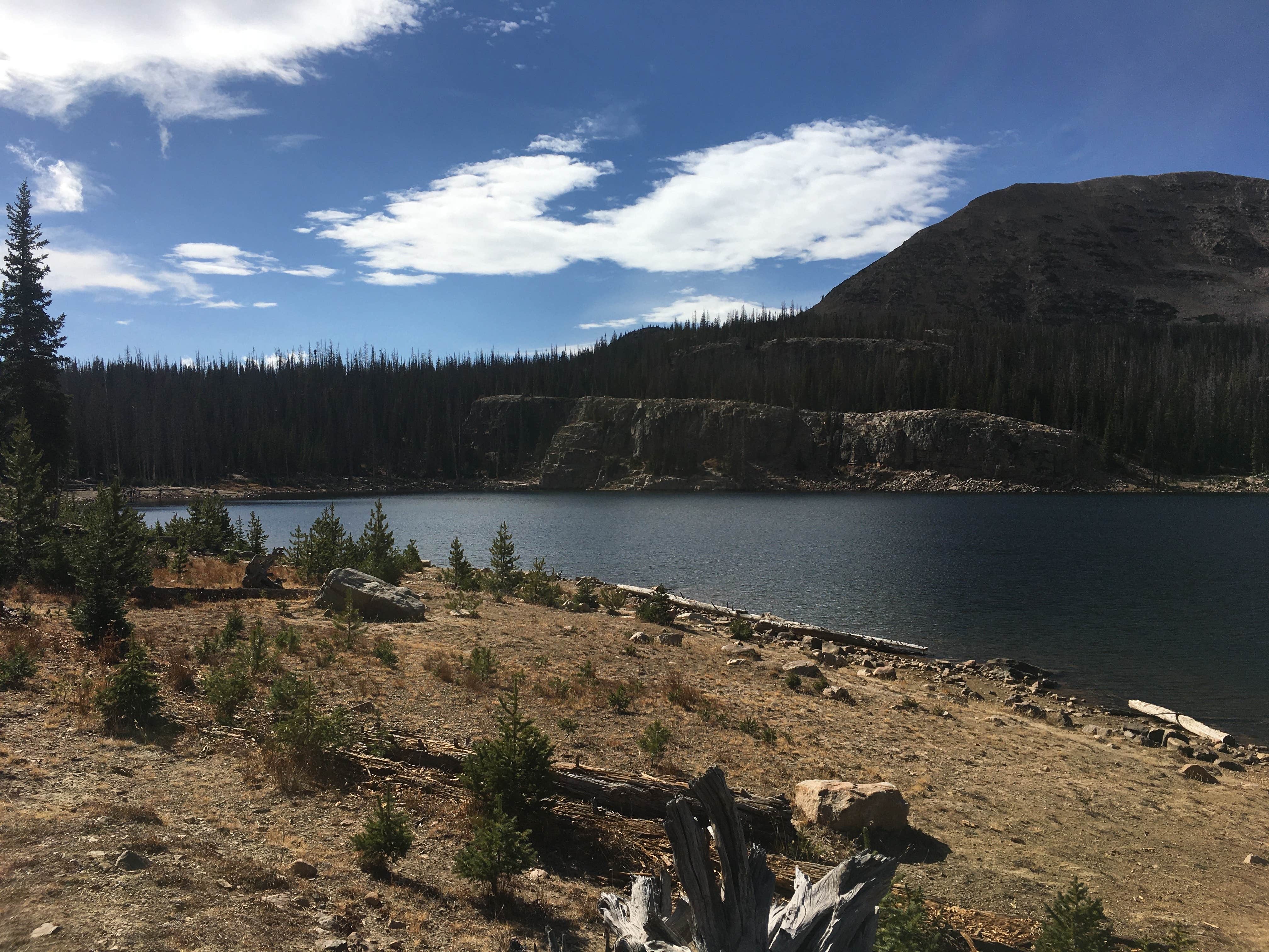 Camper submitted image from Wall Lake Dispersed Campground - 2