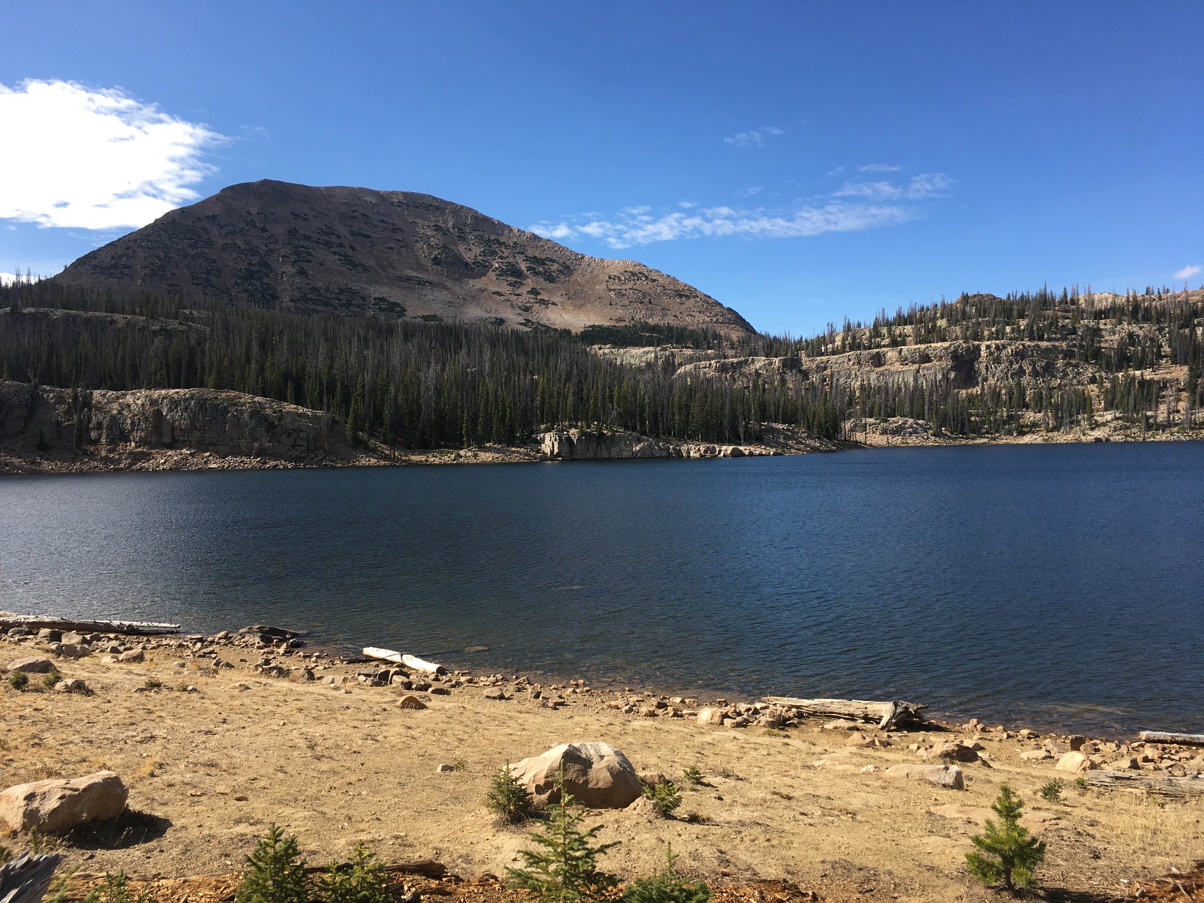 Spencer L.'s photo of a dispersed camping area at Wall Lake Dispersed Campground near Tabiona, UT