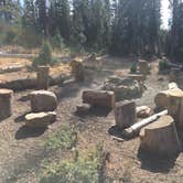 Review photo of Wall Lake Dispersed Campground by Spencer L., October 11, 2020