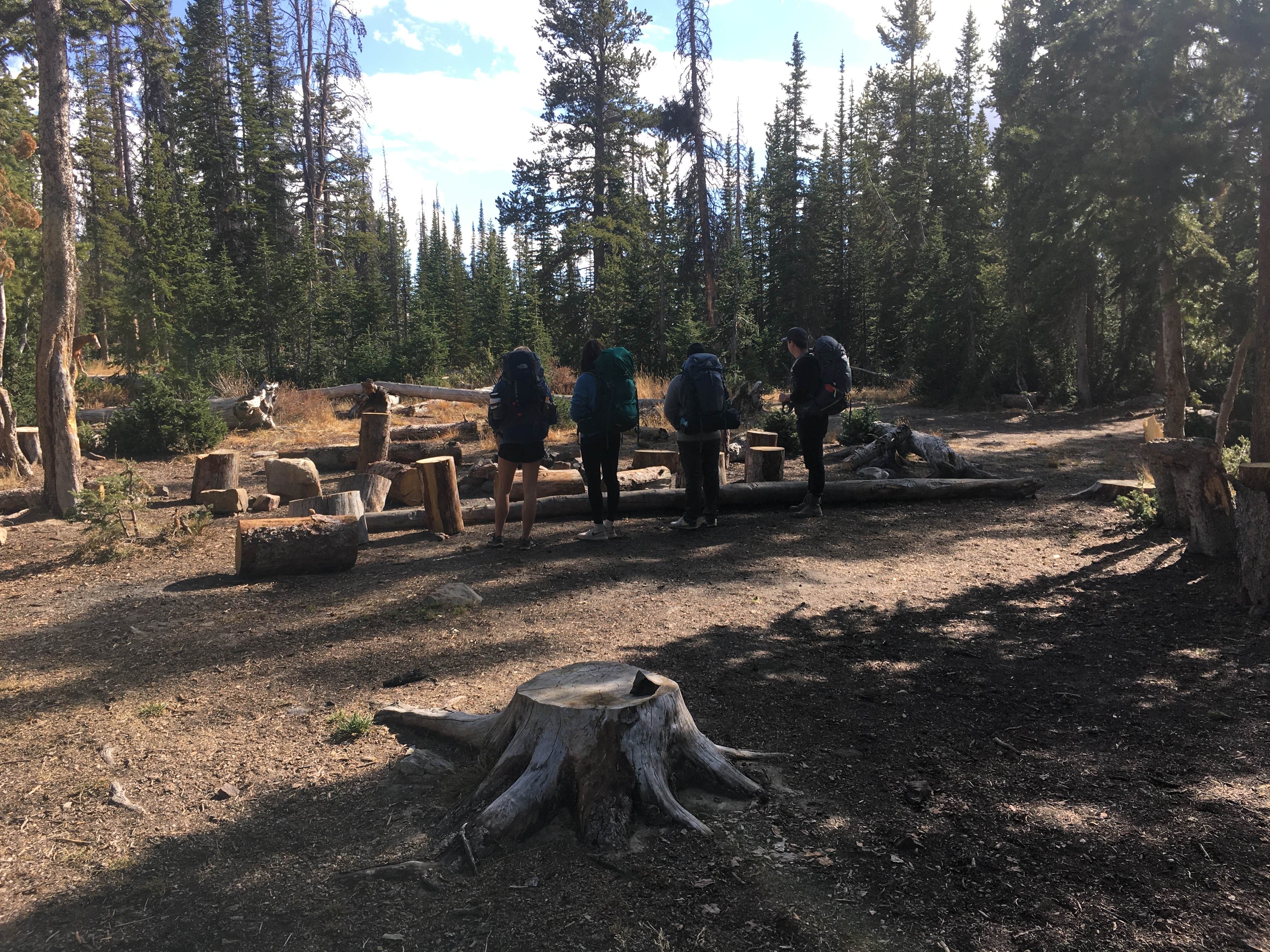 Wall Lake Dispersed Campground