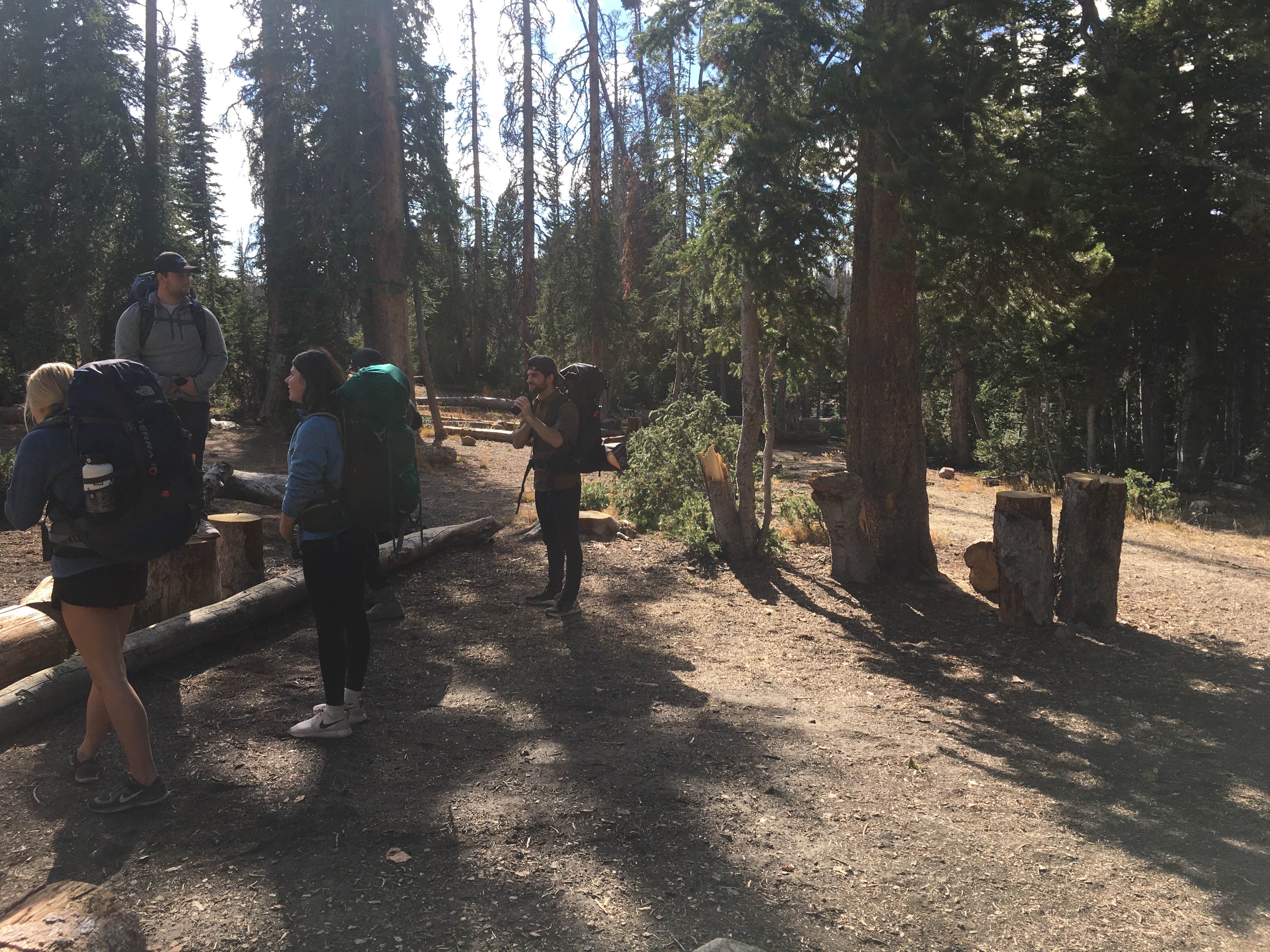 Camping near Lost Creek Campground: Wall Lake Dispersed Campground, Kamas, Utah