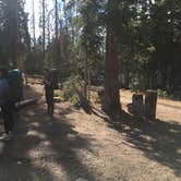 Review photo of Wall Lake Dispersed Campground by Spencer L., October 11, 2020