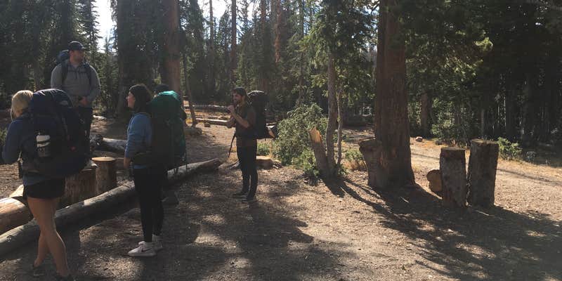 Camper submitted image from Wall Lake Dispersed Campground