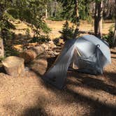 Review photo of Wall Lake Dispersed Campground by Spencer L., October 11, 2020