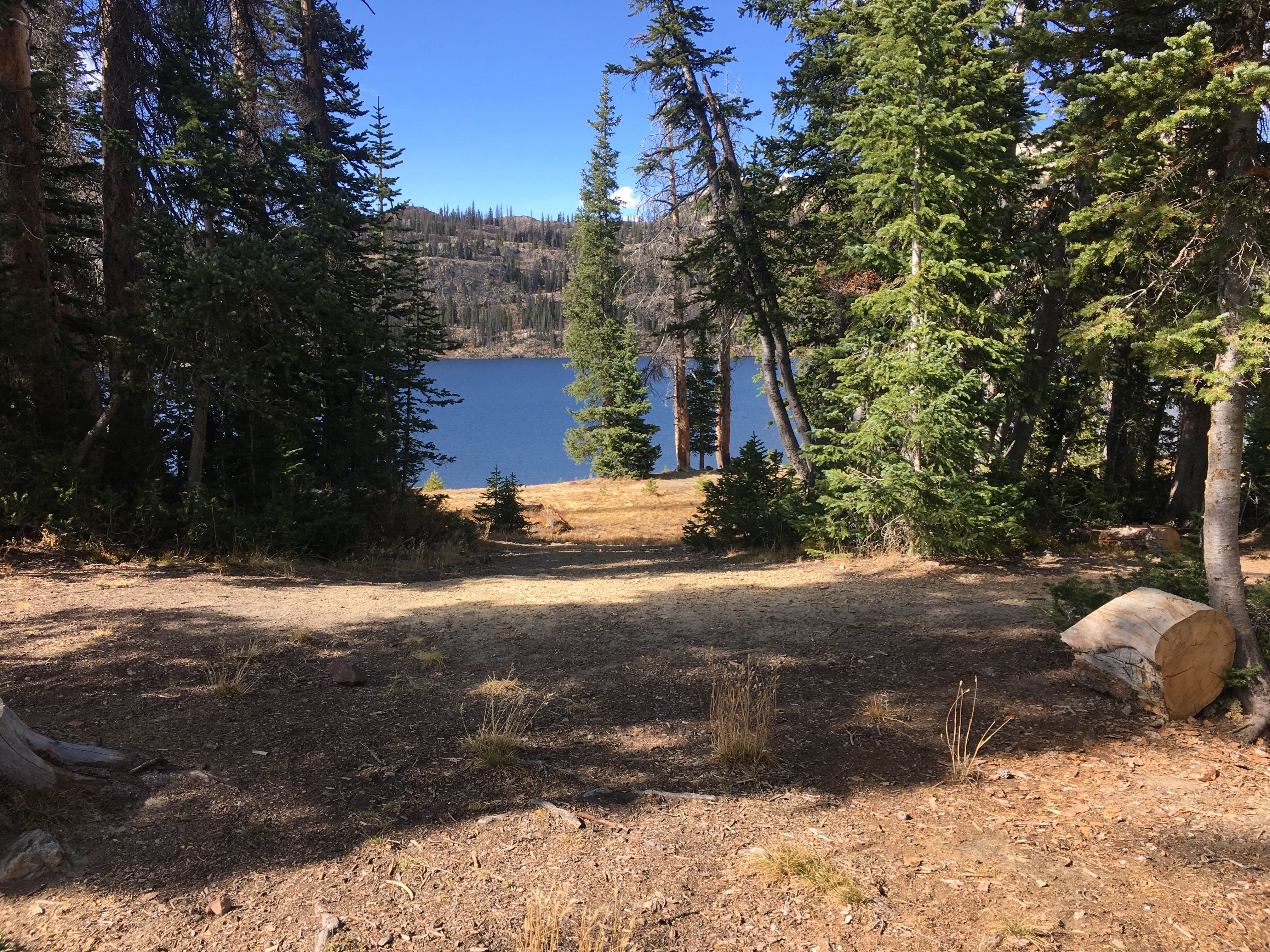 Camper submitted image from Wall Lake Dispersed Campground - 3