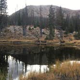 Review photo of Wall Lake Dispersed Campground by Spencer L., October 11, 2020