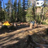 Review photo of Wall Lake Dispersed Campground by Spencer L., October 11, 2020