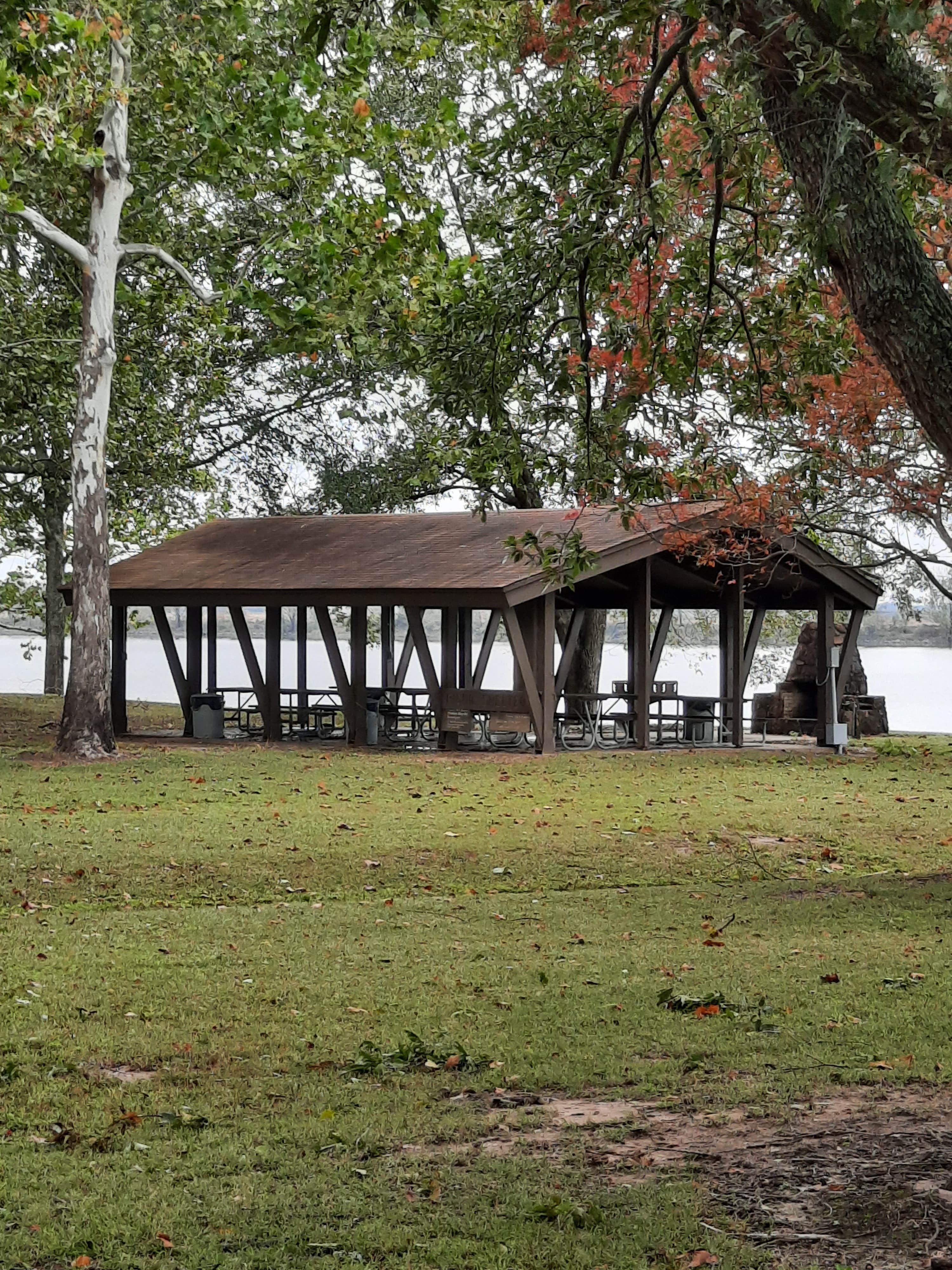 Camper-submitted photo at Rising Star near Gillett, AR