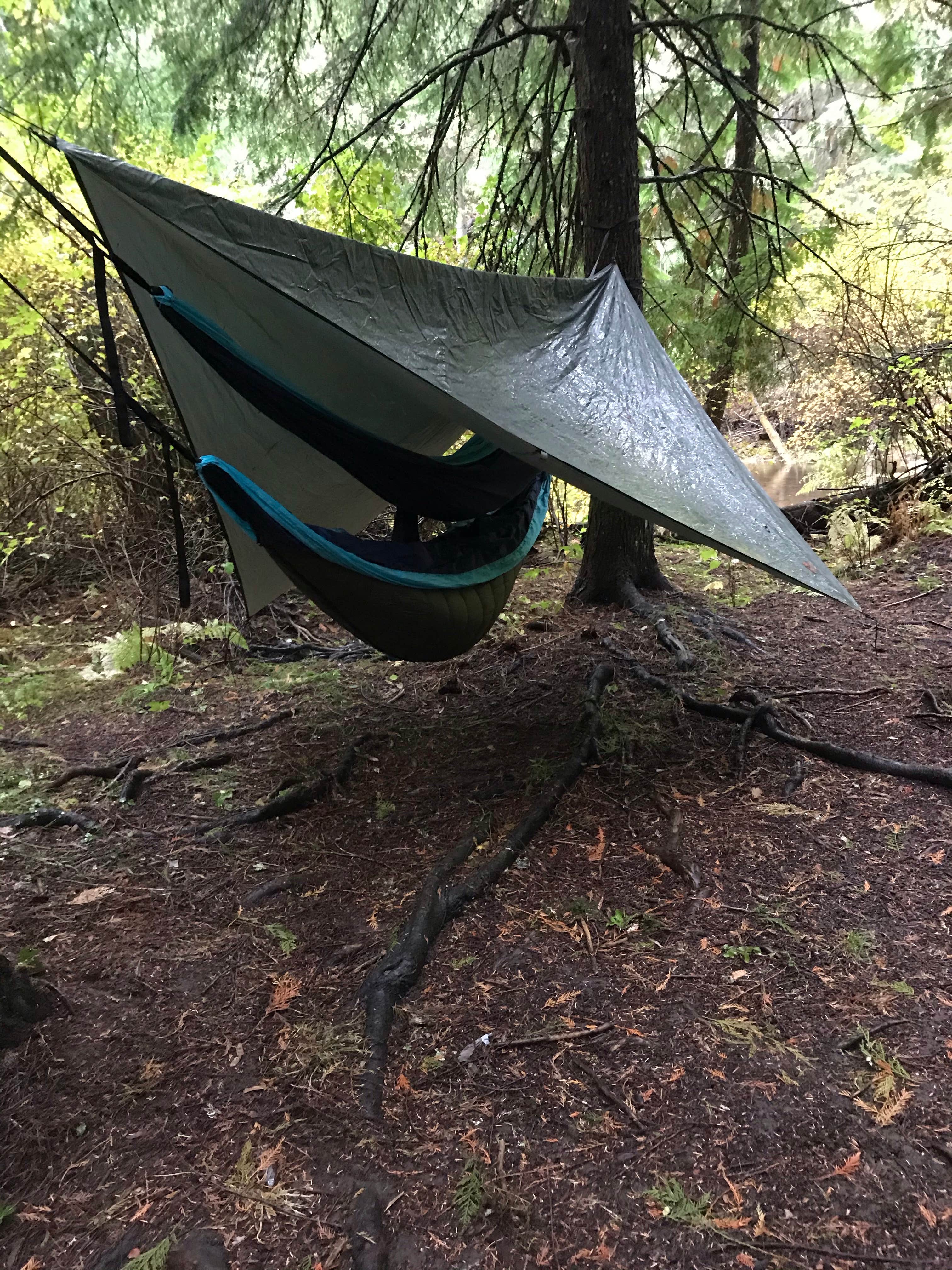 Megan K.'s photo of a dispersed camping area at Horse Camp Trailhead near Potlatch, ID