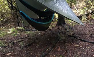 Megan K.'s photo of a dispersed camping area at Horse Camp Trailhead near Valleyford, WA