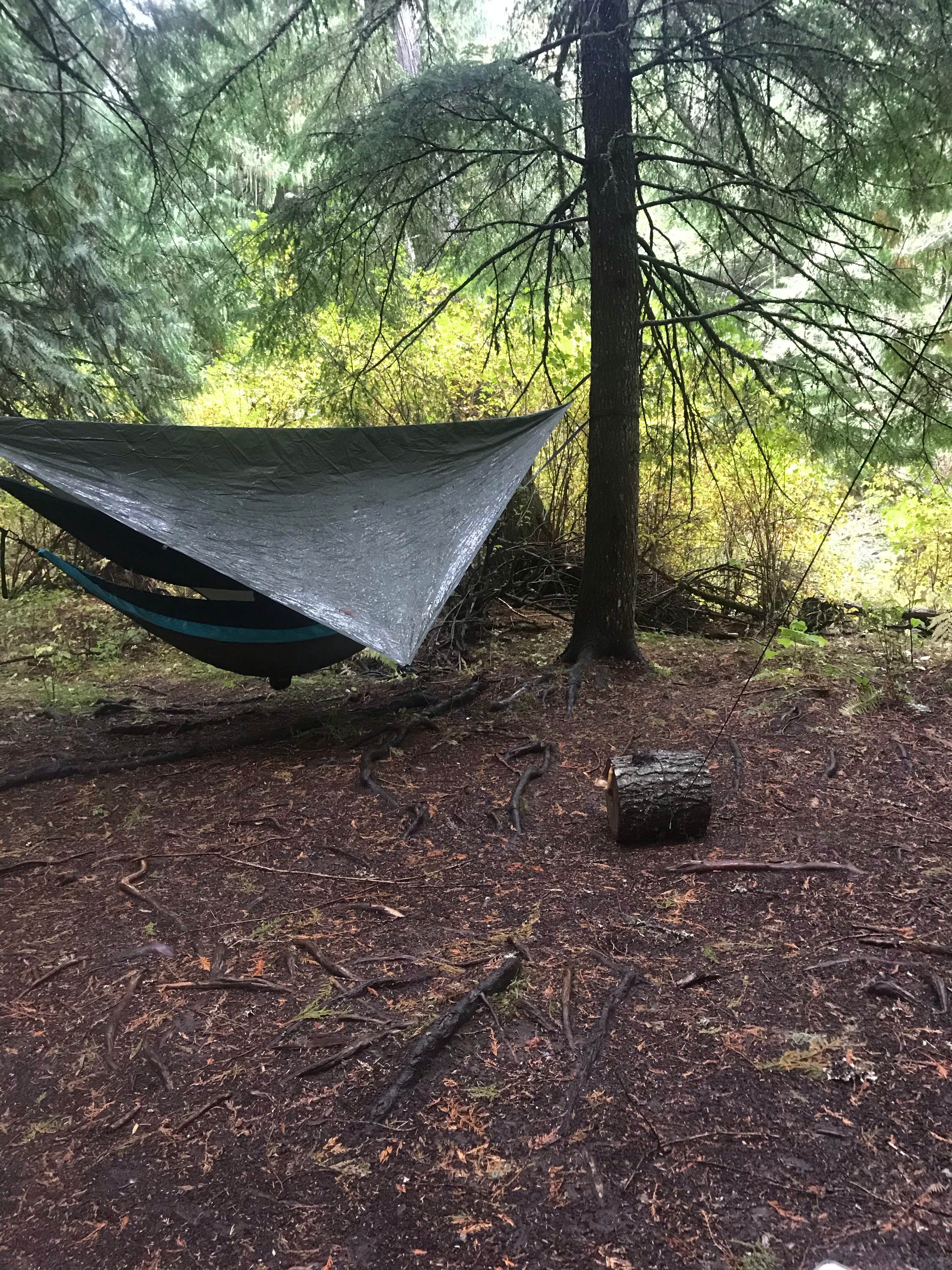 Camper submitted image from Horse Camp Trailhead - 3