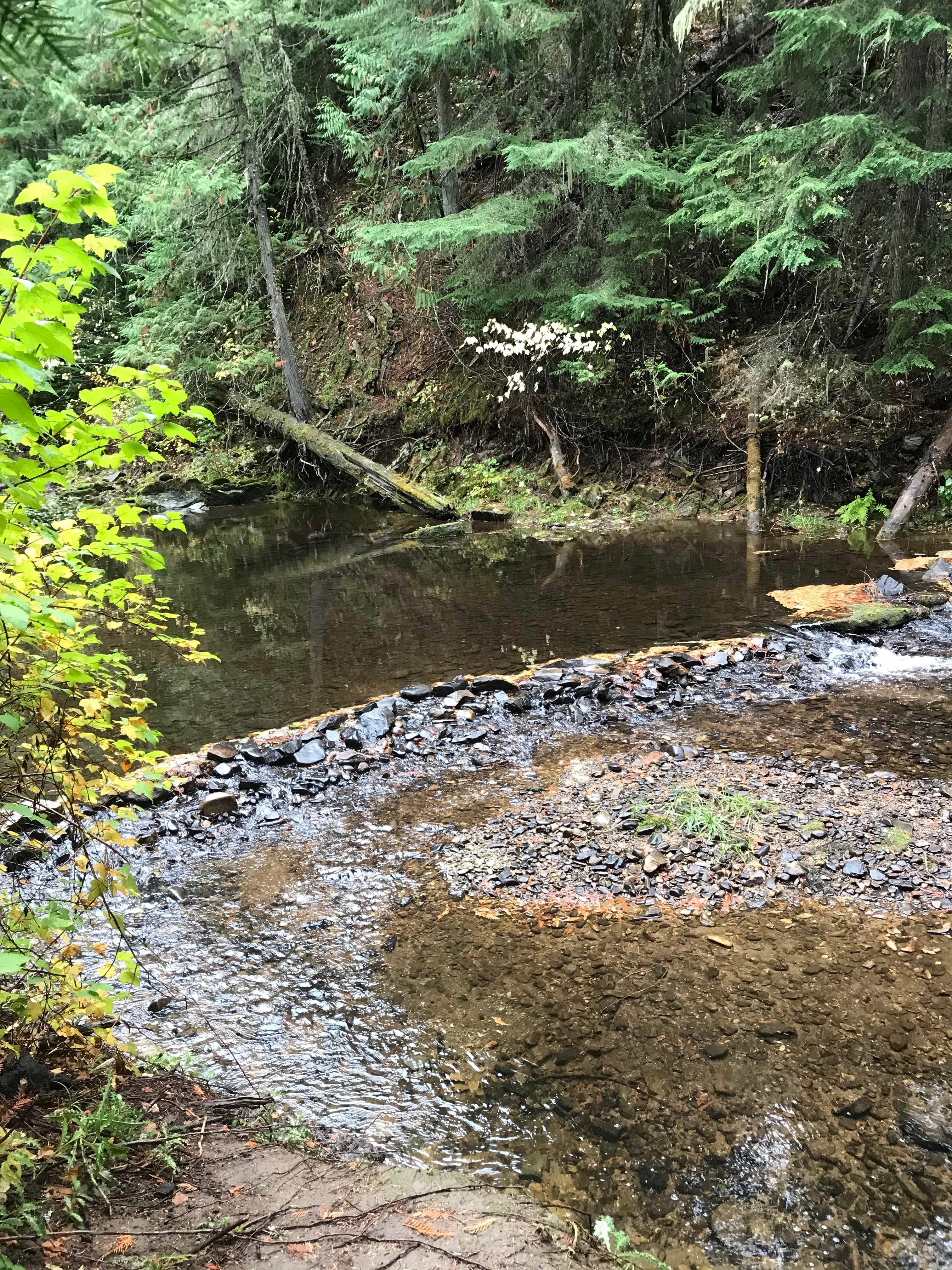 Camper-submitted photo at Horse Camp Trailhead near Santa, ID