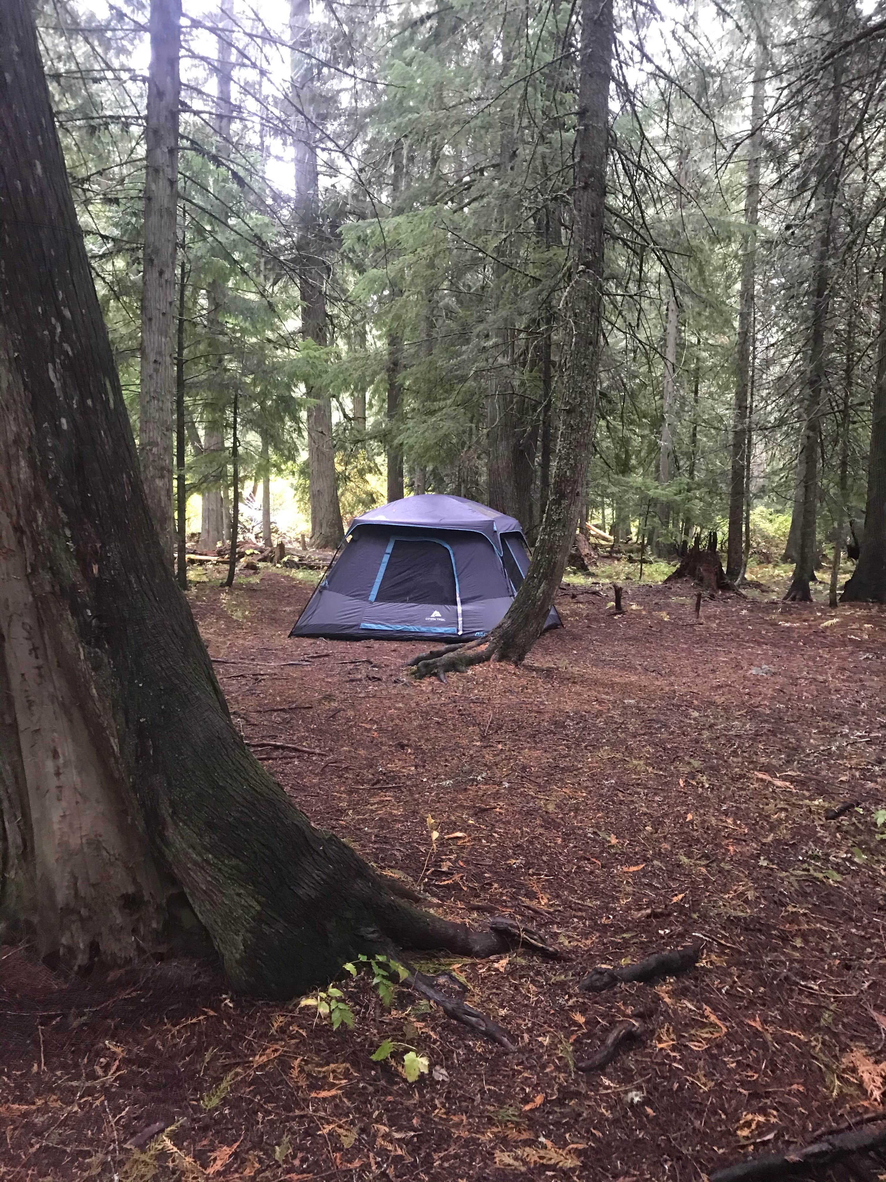 Camper-submitted photo at Horse Camp Trailhead near Potlatch, ID