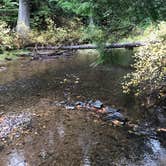 Review photo of Horse Camp Trailhead by Megan K., October 4, 2020