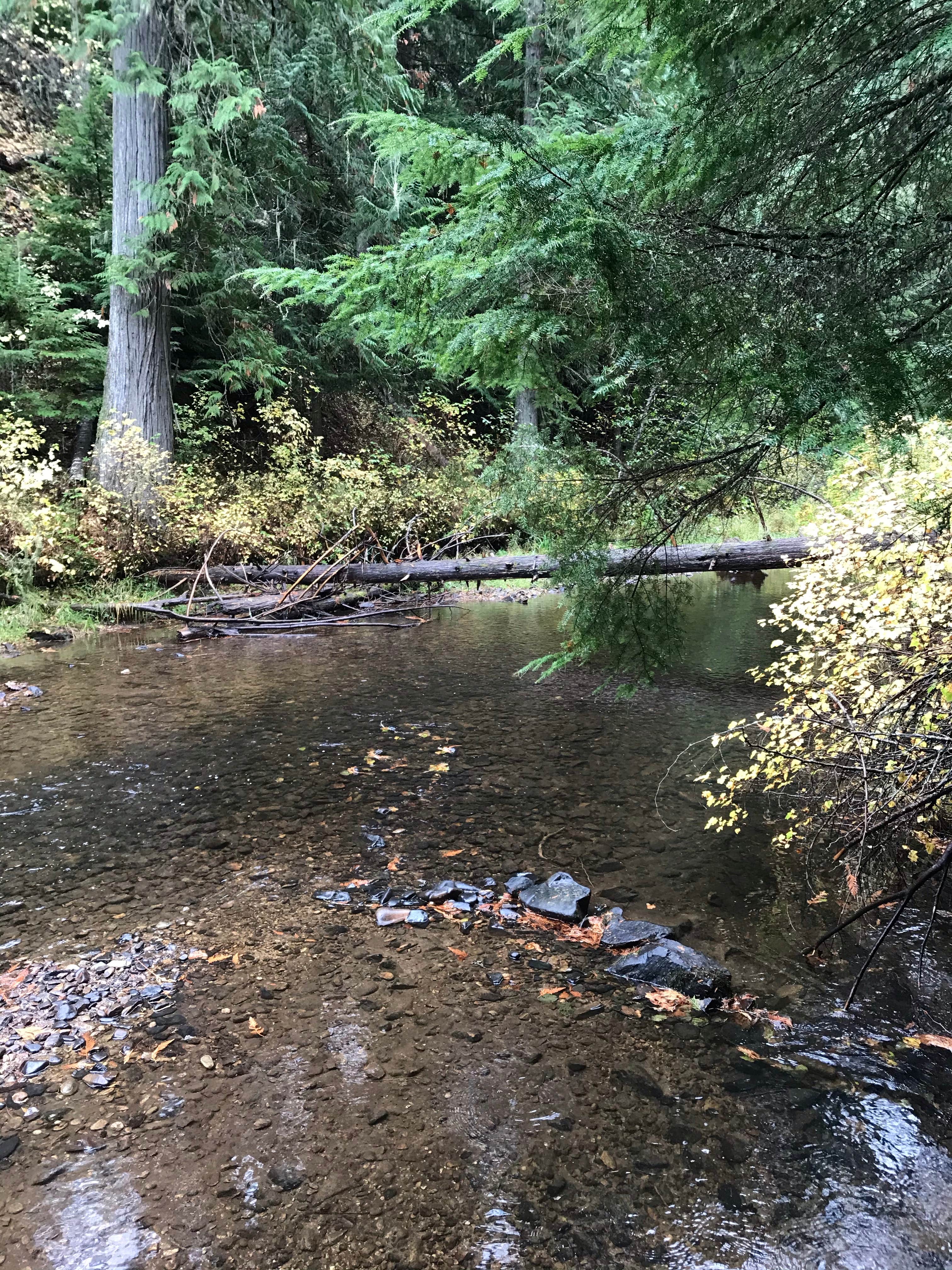 Camper submitted image from Horse Camp Trailhead - 2