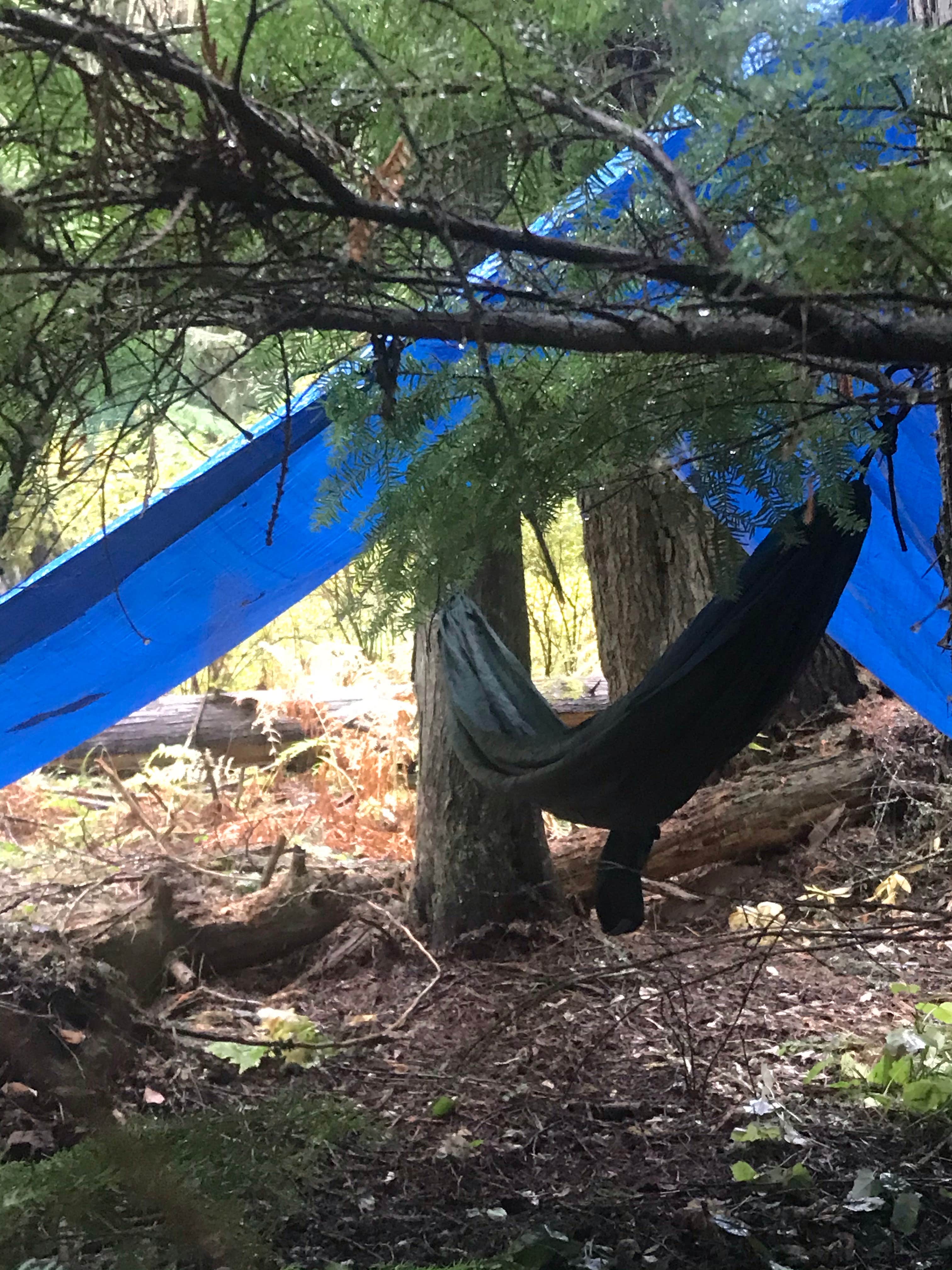 Camper-submitted photo at Horse Camp Trailhead near Potlatch, ID