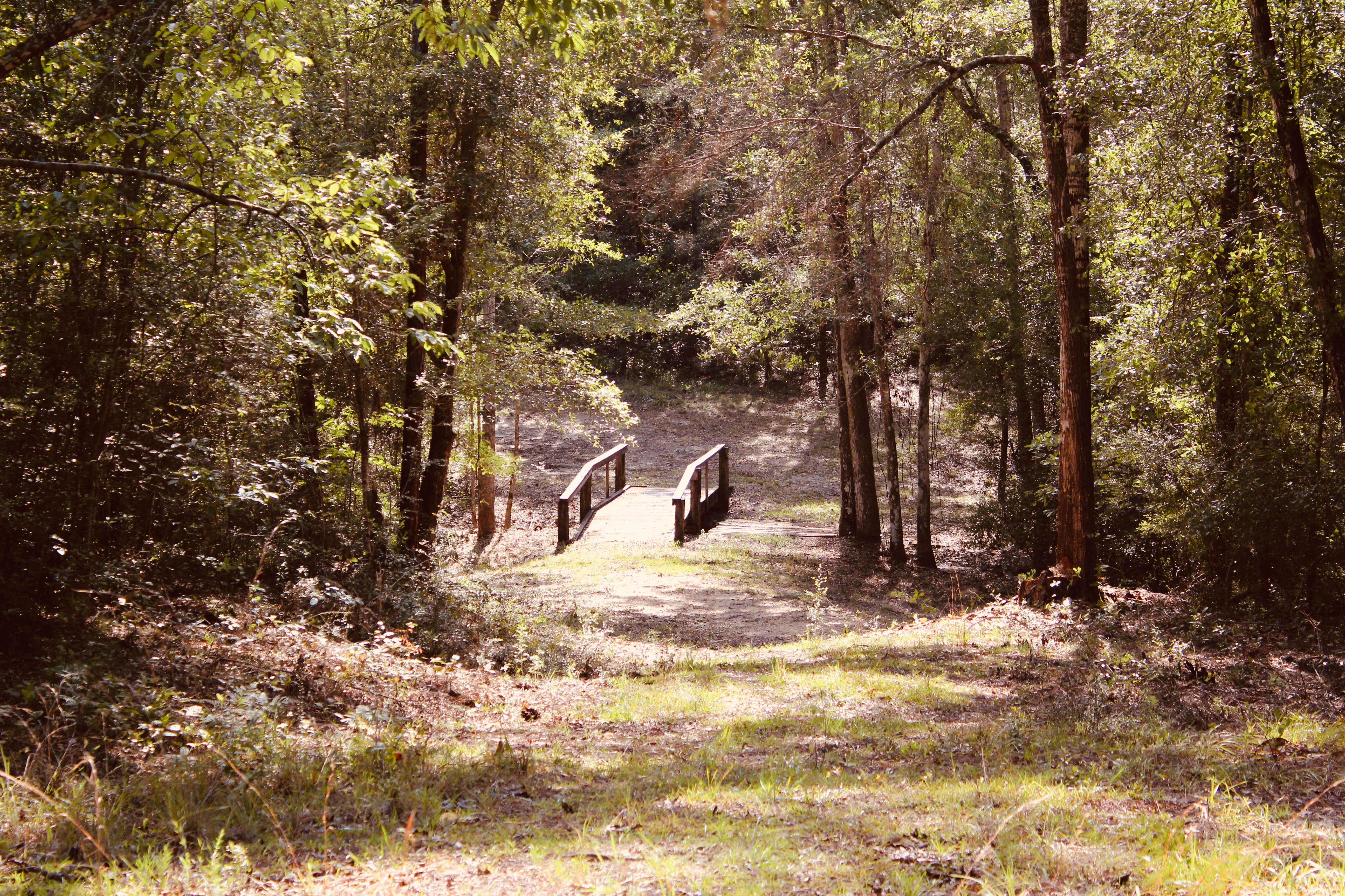 Camper-submitted photo at Bluff Springs Campground near Elberta, AL