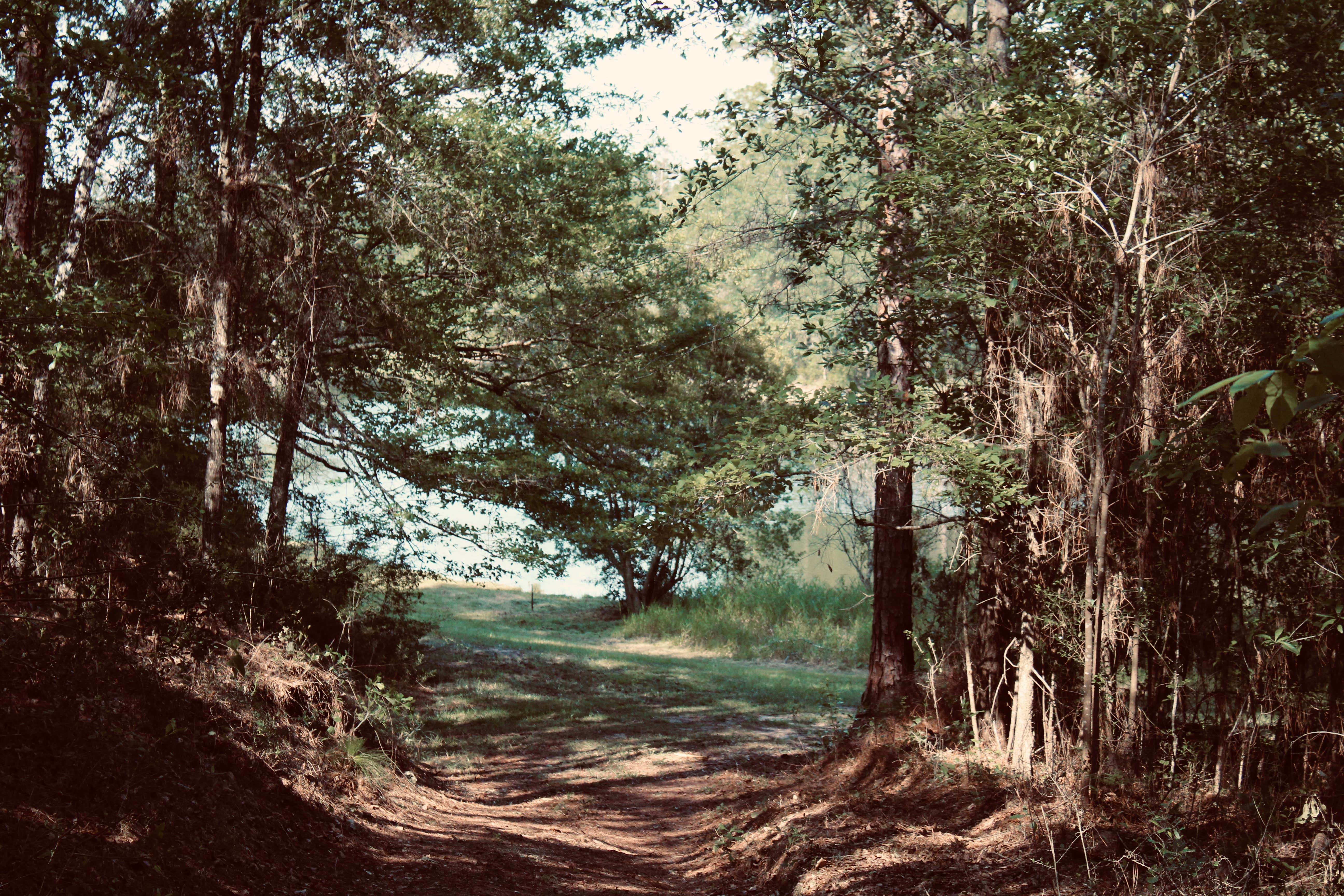 Camper-submitted photo at Bluff Springs Campground near Elberta, AL