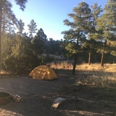 Review photo of Juniper Family Campground — Bandelier National Monument by Emilia S., October 12, 2020