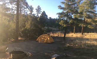 Emilia S.'s photo at Juniper Family Campground — Bandelier National Monument near Española, NM