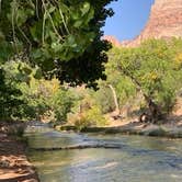 Review photo of Zion Canyon Campground by David H., October 12, 2020