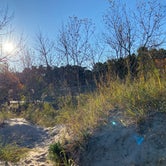 Review photo of Kohler-Andrae State Park by Erica H., October 12, 2020