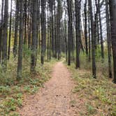 Review photo of Kohler-Andrae State Park by Erica H., October 12, 2020