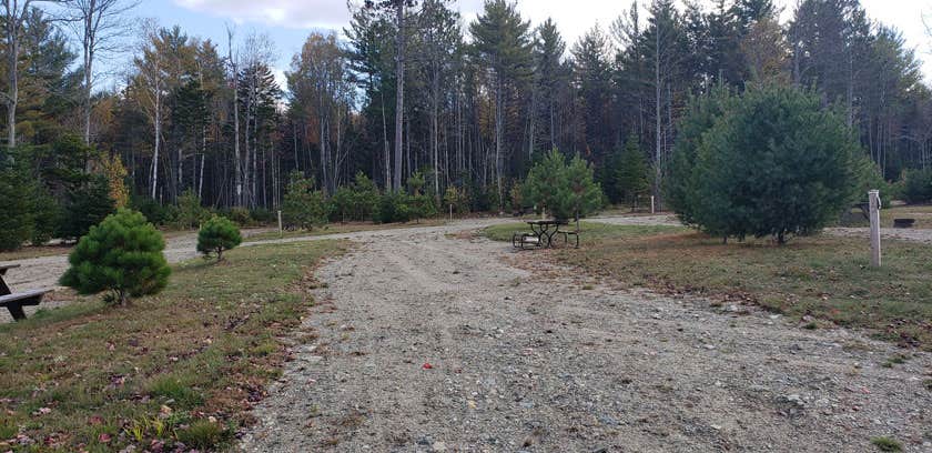 Camper submitted image from Sunshine Valley RV Park - 5