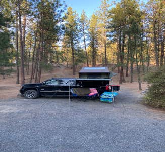 Camper-submitted photo from Wolf Lodge Campground