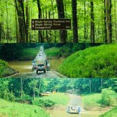 Review photo of Mammoth Cave Campground — Mammoth Cave National Park by Shelly S., May 20, 2018