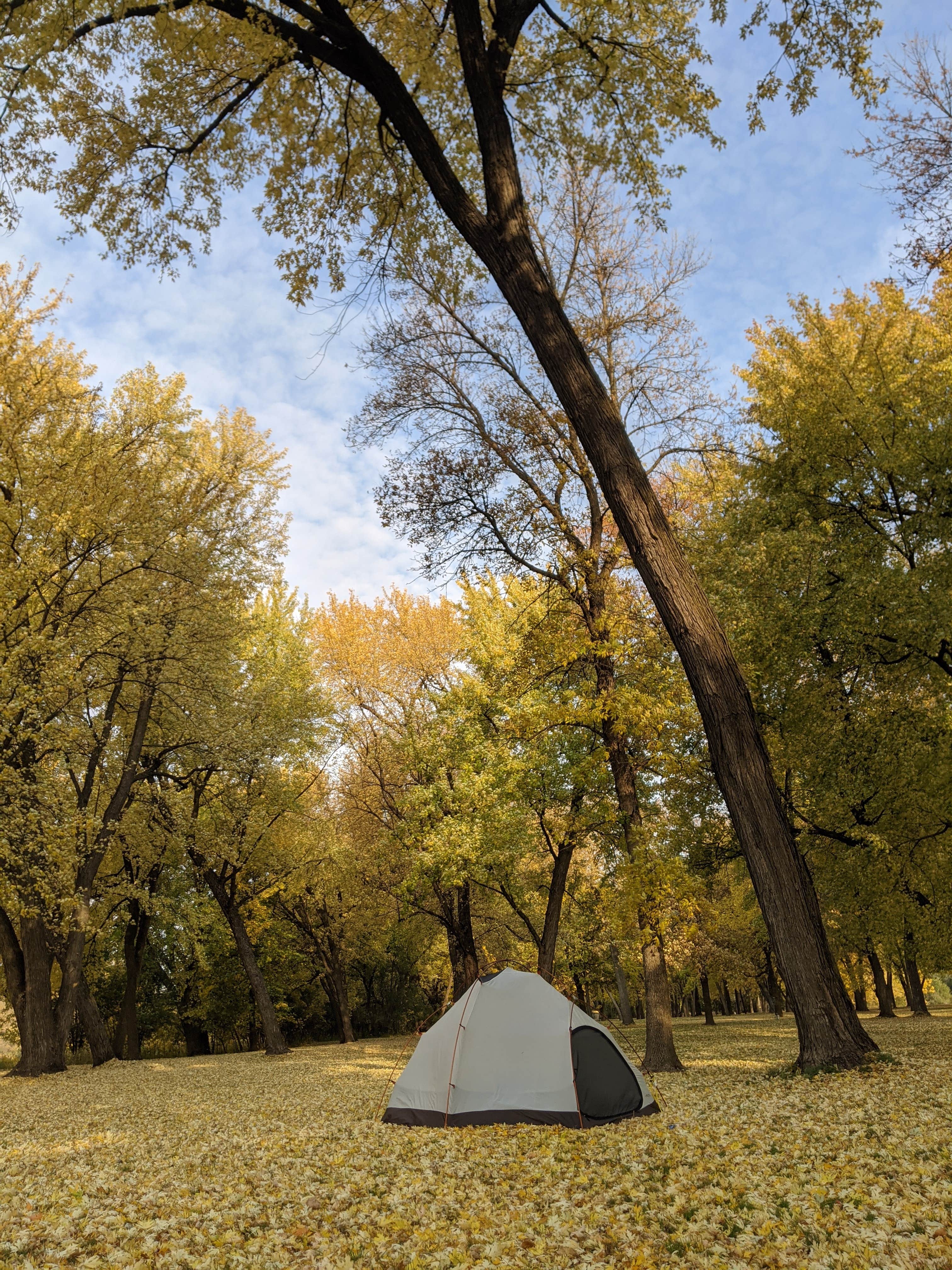 Camper submitted image from Lagoon Park - 3