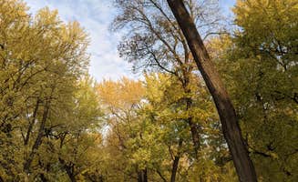Leni K.'s photo at Lagoon Park near Granite Falls, MN