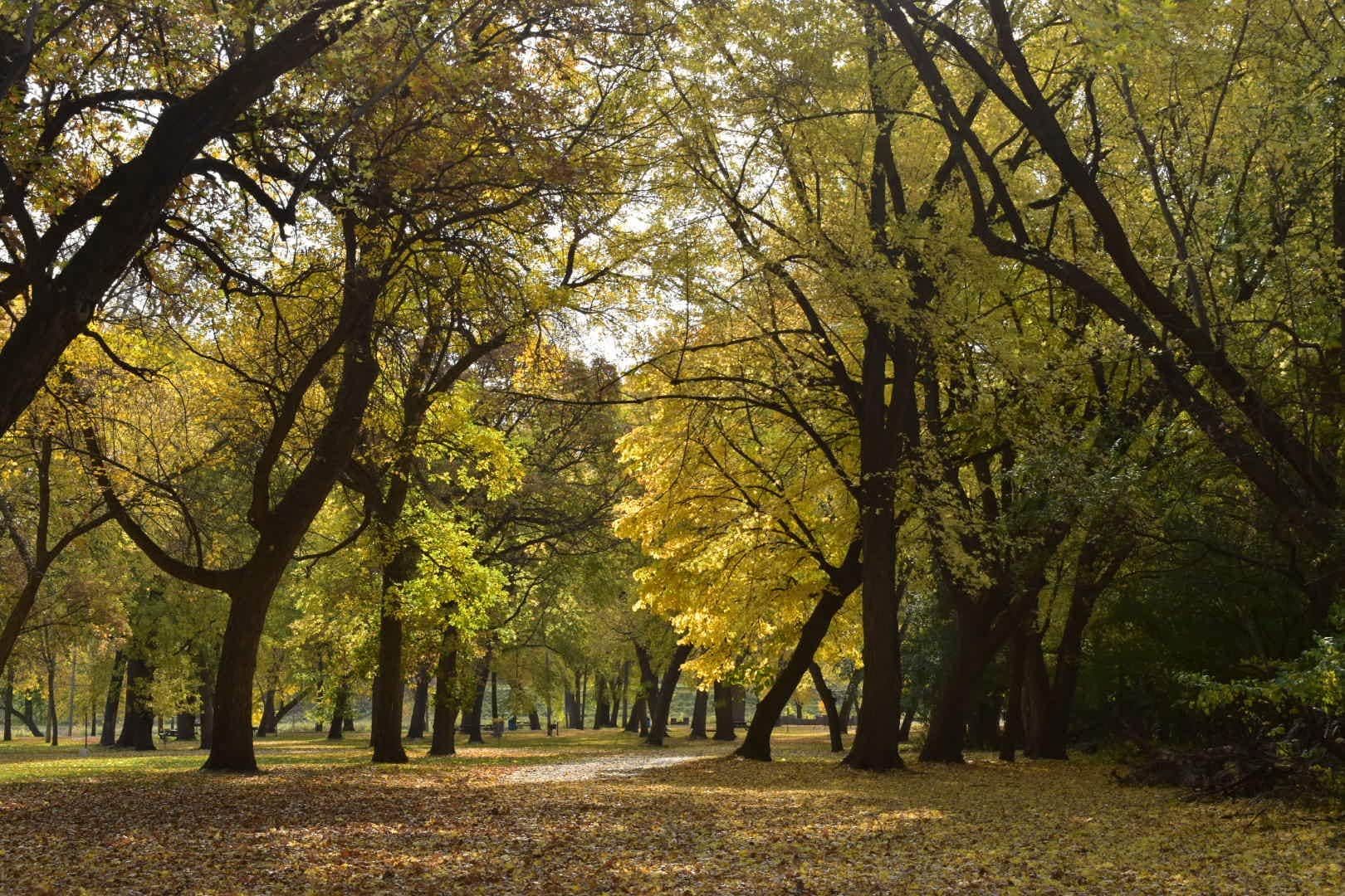 Camper-submitted photo at Lagoon Park near Granite Falls, MN