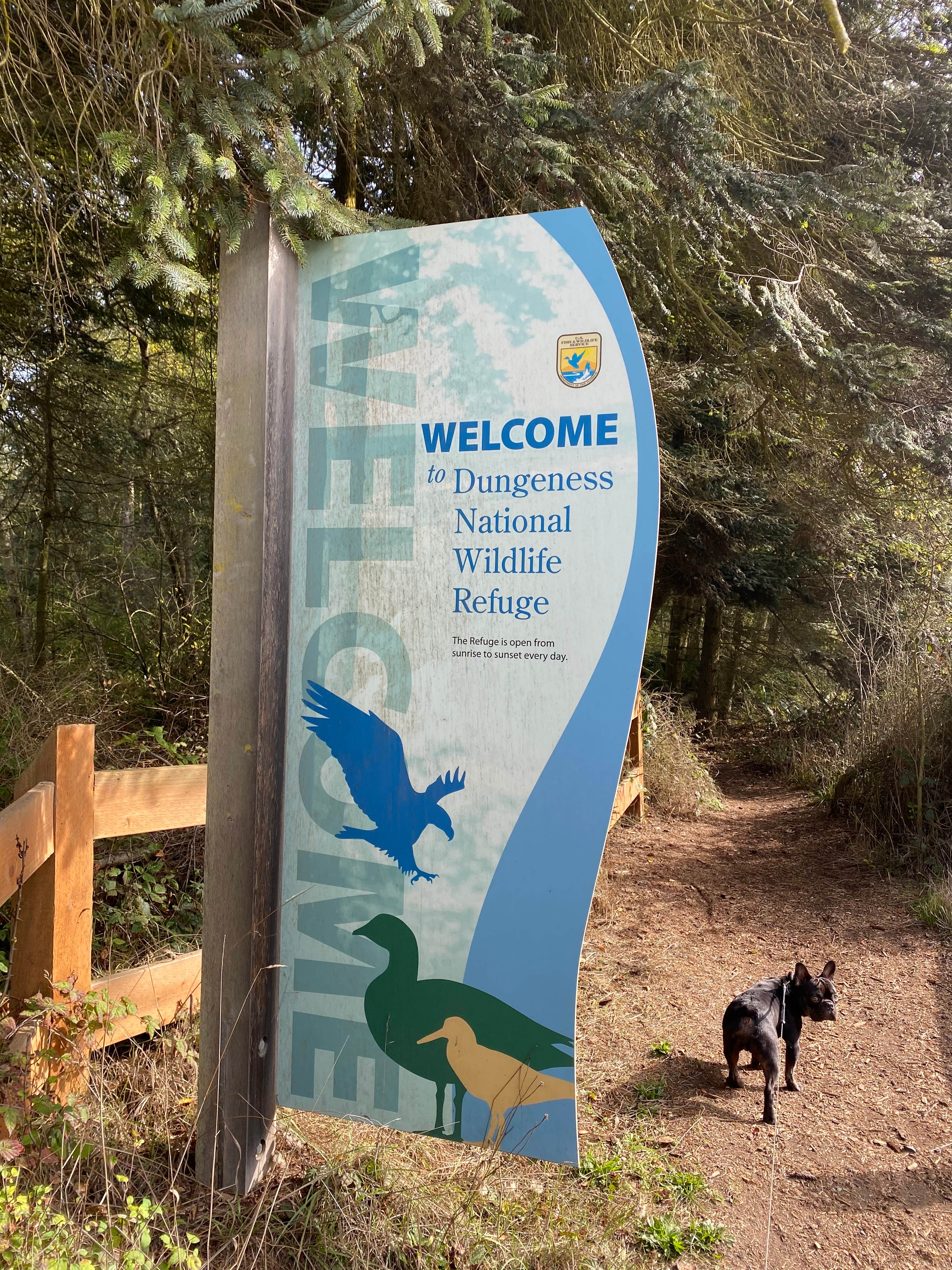 Camper-submitted photo at Dungeness Recreation Area near Sequim, WA