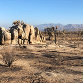 Review photo of Mojave Cross Dispersed — Mojave National Preserve by Elizabeth , October 12, 2020