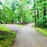 Review photo of Mammoth Cave Campground — Mammoth Cave National Park by Shelly S., May 20, 2018