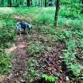 Review photo of Mammoth Cave Campground — Mammoth Cave National Park by Shelly S., May 20, 2018