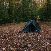 Review photo of Loleta Road Dispersed Campsite by Caitlin , October 12, 2020