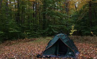 Caitlin's photo of tent camping at Loleta Road Dispersed Campsite near Ridgway, PA