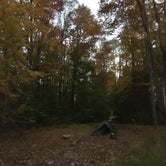 Review photo of Loleta Road Dispersed Campsite by Caitlin , October 12, 2020