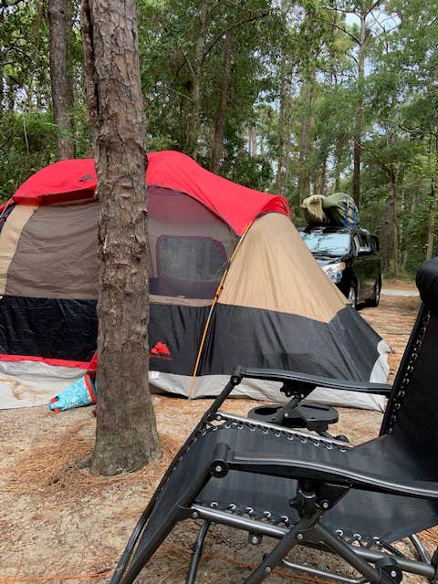 Kelley K.'s photo at Carolina Beach State Park Campground near Burgaw, NC