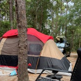 Review photo of Carolina Beach State Park Campground by Kelley K., October 12, 2020