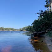 Review photo of Carolina Beach State Park Campground by Kelley K., October 12, 2020