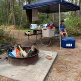 Review photo of Carolina Beach State Park Campground by Kelley K., October 12, 2020