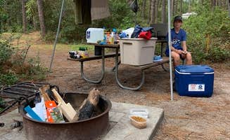 Kelley K.'s photo at Carolina Beach State Park Campground near Kure Beach, NC