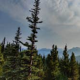 Review photo of Deer Park Campground — Olympic National Park by Meghan S., May 20, 2018