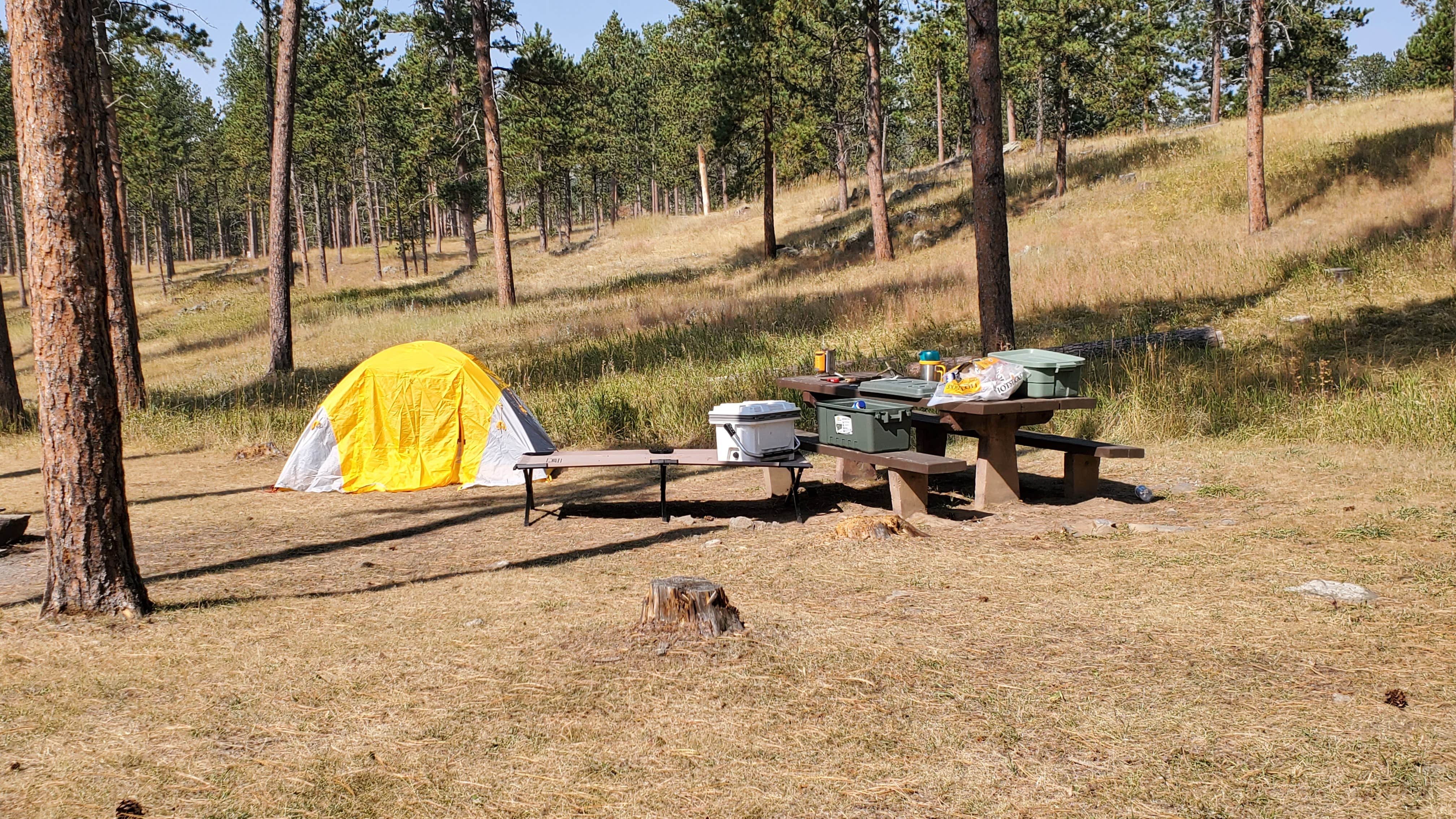 Ryan B.'s photo at Black Hills National Forest Comanche Park Campground near Newcastle, WY