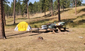 Camping near Gold Camp Cabins: Black Hills National Forest Comanche Park Campground, Custer, South Dakota