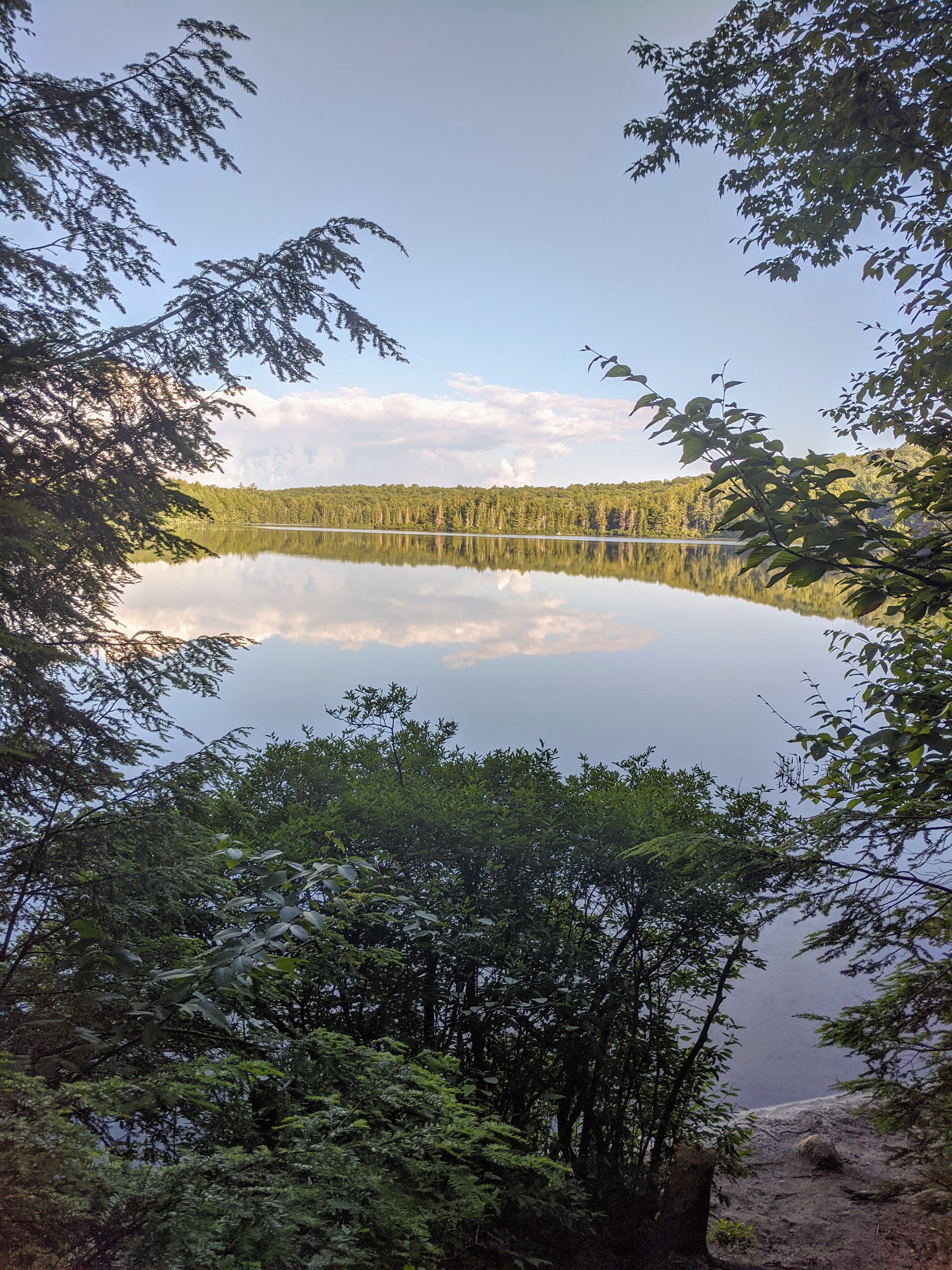 Camper submitted image from Nicks Lake Campground - 3